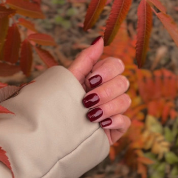 Фото с портфолио Nails Pro