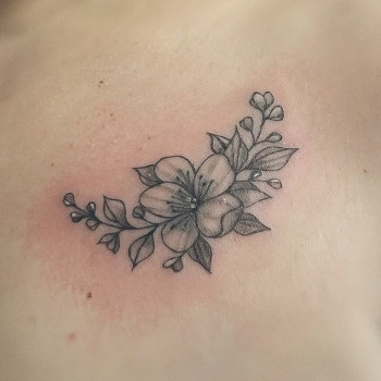 Фото с портфолио Альона Селиванська