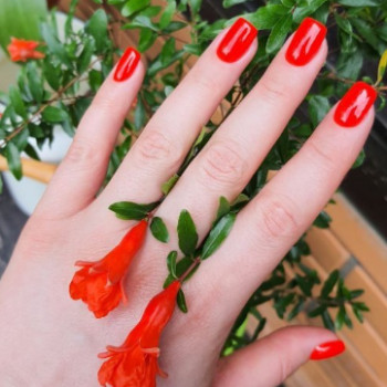 Фото с портфолио OH NAILS