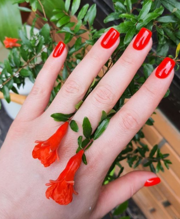 Червоний манікюр яскравий на довгі нігті, фото - Студія краси OH NAILS
