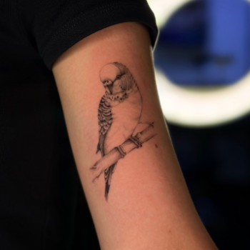 Фото с портфолио Smile Tattoo