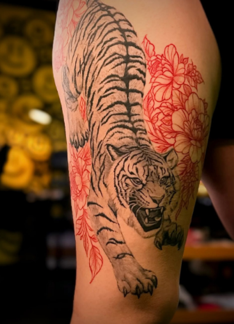 Цветные реализм тигр, фото - Тату салон Smile Tattoo