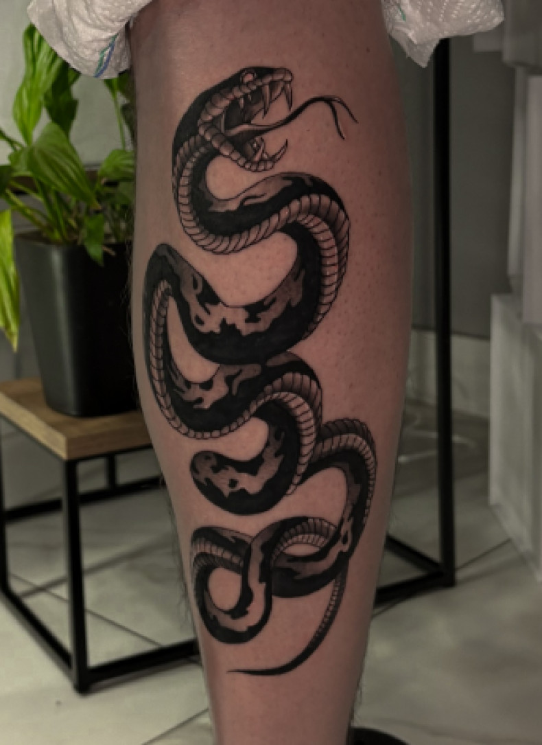 Змея, фото - Тату салон TATTOO LAMARCH