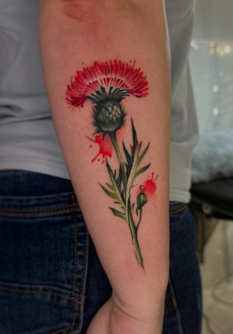 Для дівчат на передпліччі кольорові, фото - Тату салон TATTOO LAMARCH