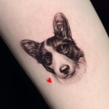 Фото с портфолио TATTOO LAMARCH