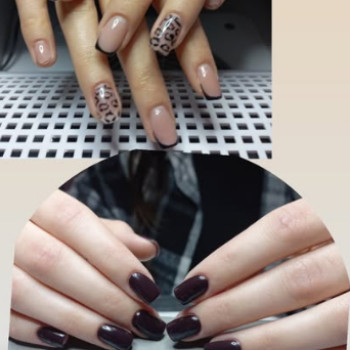 Фото с портфолио Beauty studio ORohozhnikova