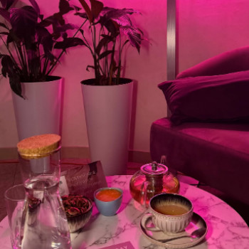Фото с портфолио Інсай