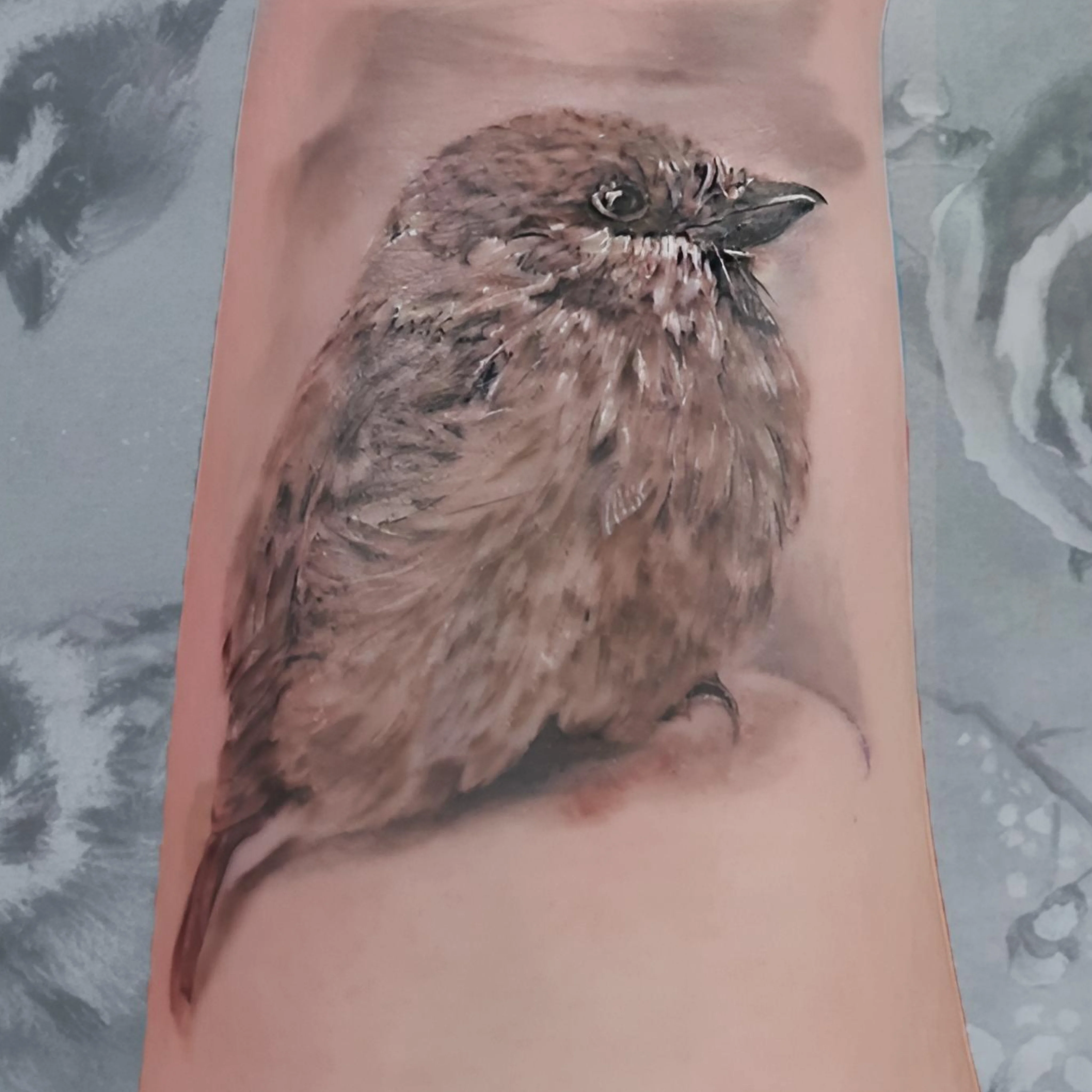 На предплечье реализм черно-белые, фото - Тату салон TattooDim