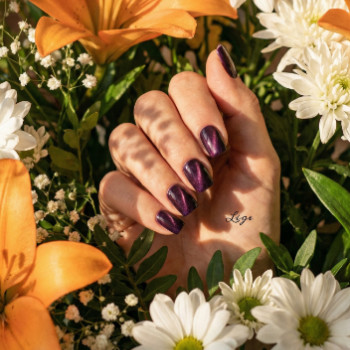 Фото с портфолио Lige