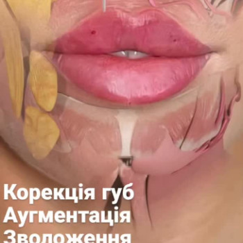 Фото с портфолио Beauty Line
