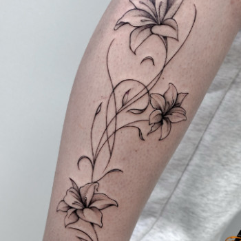 Фото с портфолио ALICE