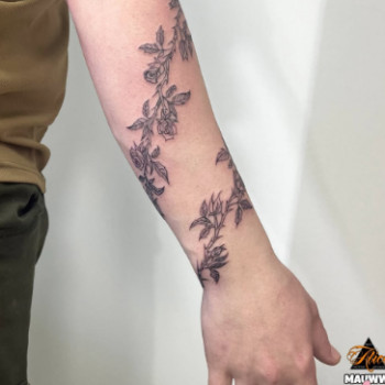 Фото с портфолио ALICE