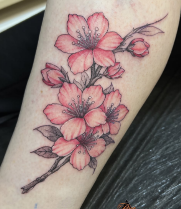 Женские на руке цветные, фото - Тату салон ALICE tattoo studio