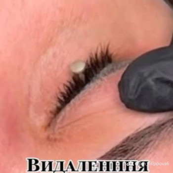 Фото с портфолио Людмила Филиппова
