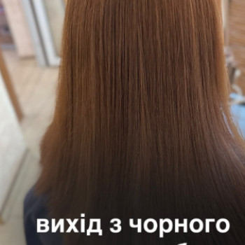 Фото с портфолио Алеся Афонькина