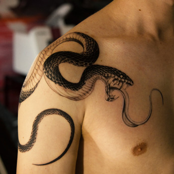 Фото с портфолио TATTOO LAMARCH