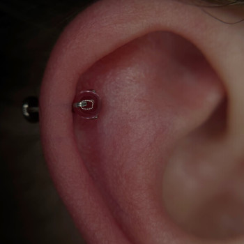 Фото с портфолио TATTOO LAMARCH