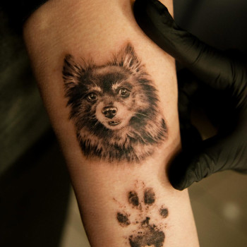 Фото с портфолио TATTOO LAMARCH