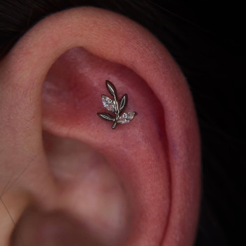 Фото с портфолио TATTOO LAMARCH