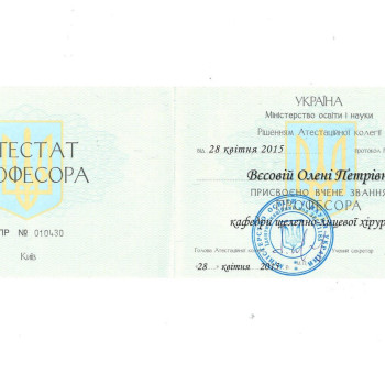 Фото с портфолио Олена Петрівна Вєсова