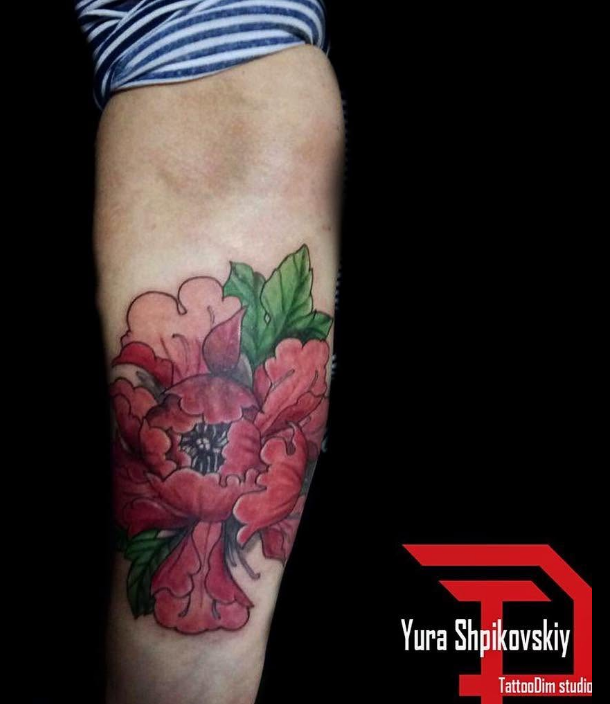 На передпліччі кольорові нео-традішнл, фото - Тату салон TattooDim
