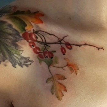 Фото с портфолио Павло Д'ячук