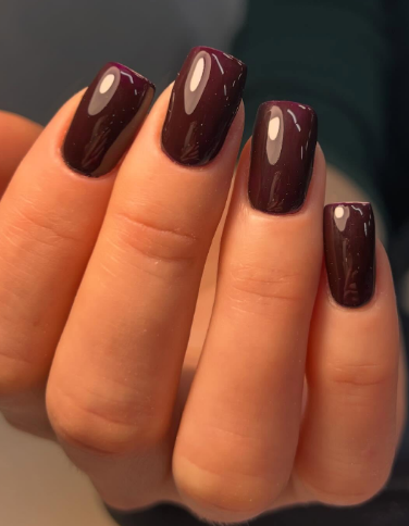 Маникюр на длинные ногти квадратные однотонный (монохромный), фото - Студия красоты ОК Студио