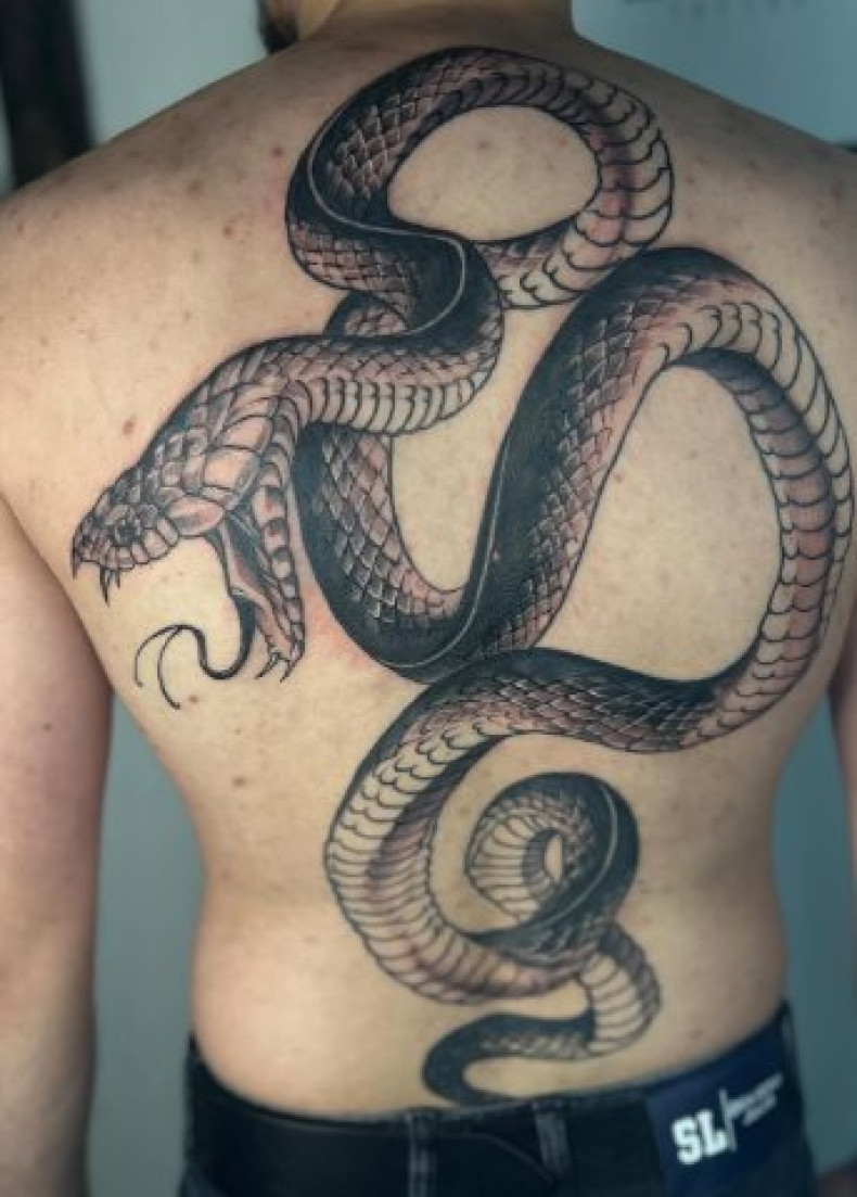 Мужские змея реализм, фото - Тату салон TATTOO LAMARCH