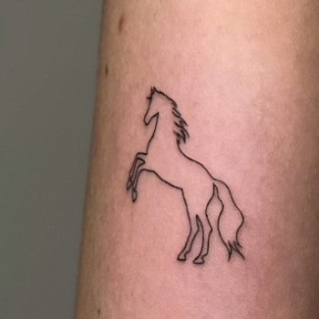 Фото с портфолио TATTOO LAMARCH