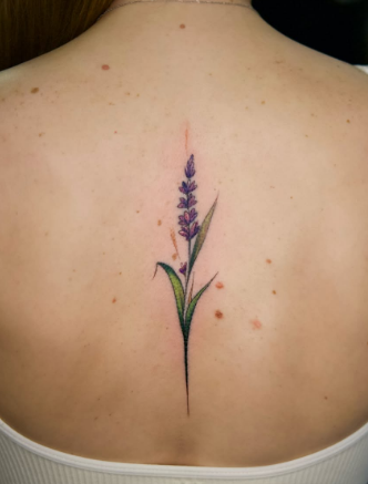 Женские цветные на спине, фото - Тату салон TATTOO LAMARCH