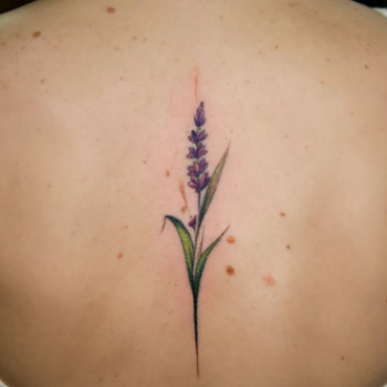 Фото с портфолио TATTOO LAMARCH