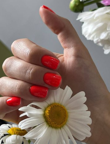 Червоний манікюр на короткі нігті яскравий, фото - Нігтьова студія Mood Nails