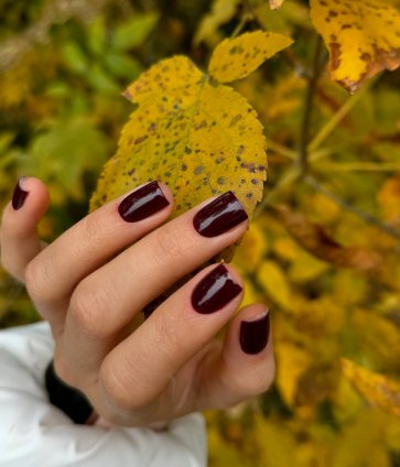 Манікюр на короткі нігті осінь бордовий, фото - Майстер манікюру Катерина Марченко