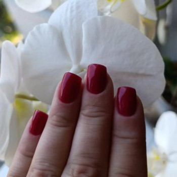 Фото с портфолио Best