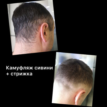 Камуфлювання чоловічої сивини