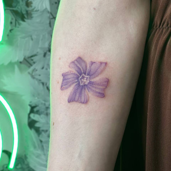 Фото с портфолио МОЖНА ТАТУ