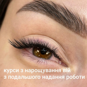 Курси з нарощування вій, місце праці
