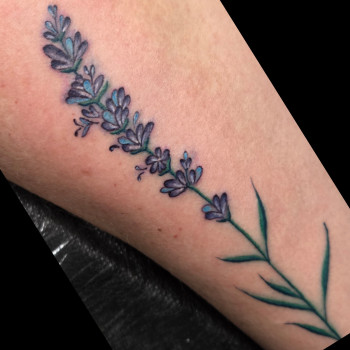 Фото с портфолио Аліна Дорошина