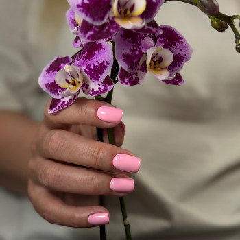 Фото с портфолио Ганна Фельчер