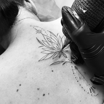 Фото с портфолио Эмилия Олефир