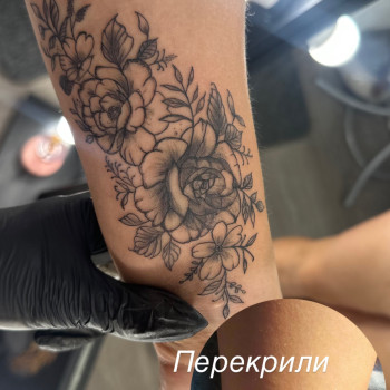 Фото с портфолио Эмилия Олефир