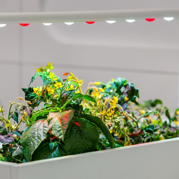 Фото с портфолио Космічний стоматологічний центр