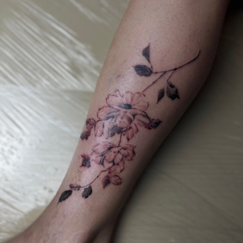 Тату