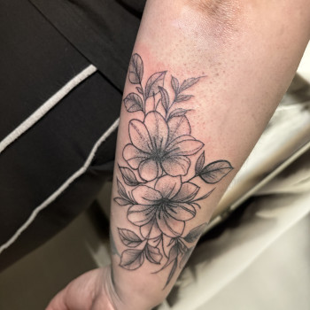 Фото с портфолио Катя Акиншина
