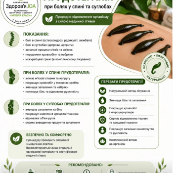Гірудотерапія при болях у спині та суглобах: медичні п’явки застосовуються у комплексних програмах при м’язовому напруженні, запальних процесах та набряках. Може сприяти покращенню місцевого кровообігу та зменшенню дискомфорту.