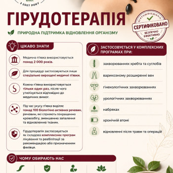 Гірудотерапія — оздоровча процедура із застосуванням медичних п’явок. Використовується у комплексних програмах при порушеннях кровообігу, варикозі, болях у спині та суглобах, у гінекології й урології, при набряках та відновленні після травм. Використовуємо сертифіковані медичні п’явки одноразово.