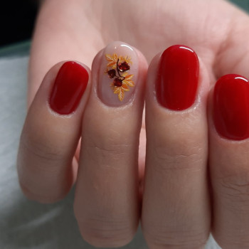 Фото с портфолио Альона Вареник