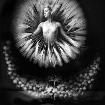Фото с портфолио Чернов Ігор