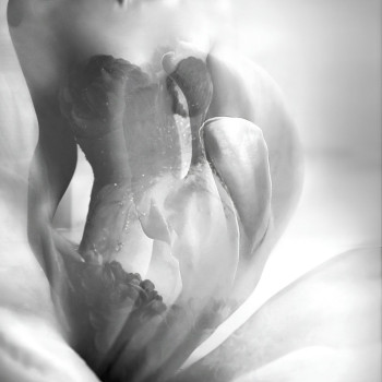 Фото с портфолио Чернов Ігор