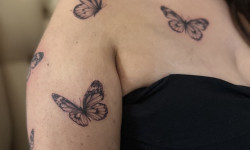 Быстрые flash-тату и авторские татуировки Курси та навчання Tattoo School UA Київ